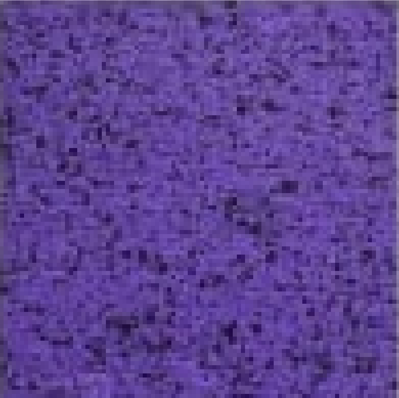 Фиолетовый 95