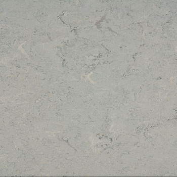 121-055 ash grey